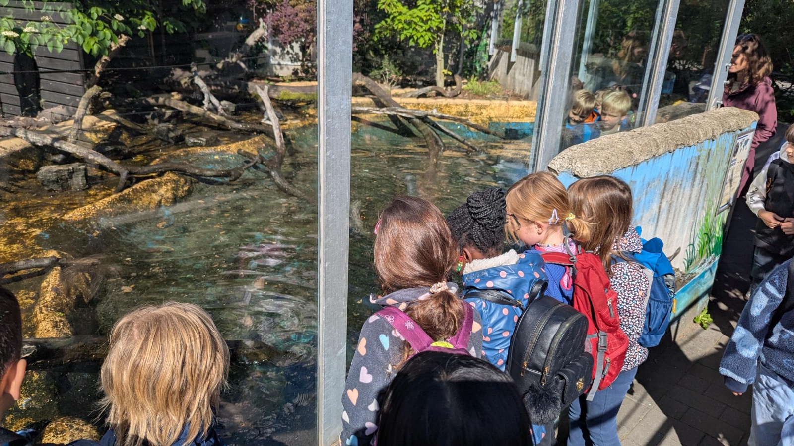 Zoo1.jpg