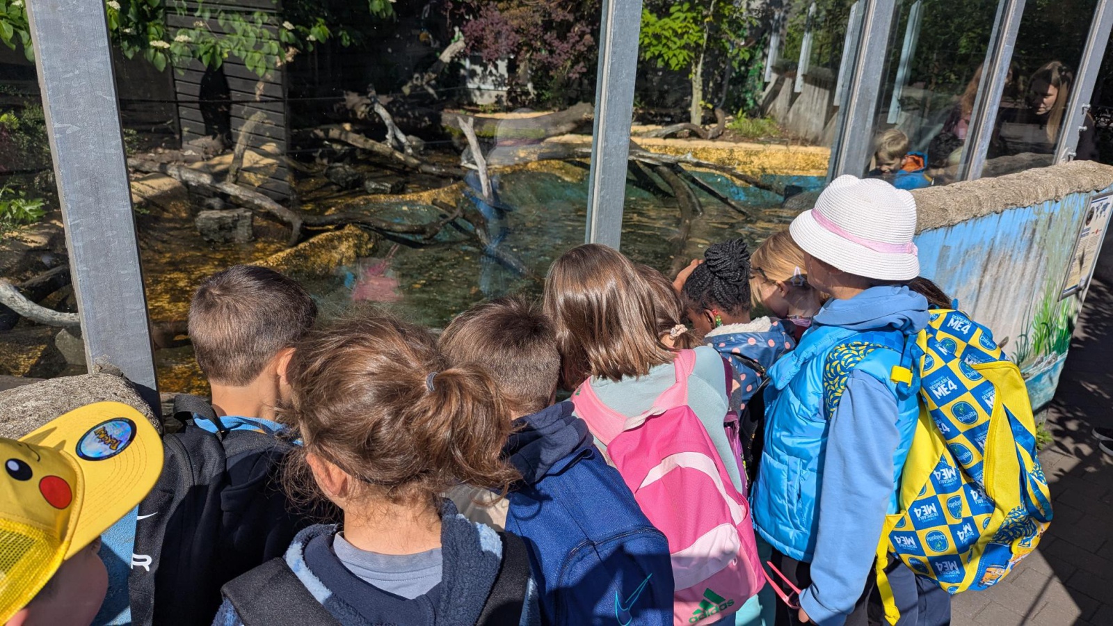 Zoo3.jpg